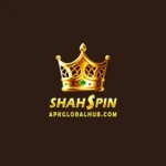 Shah Spin Game